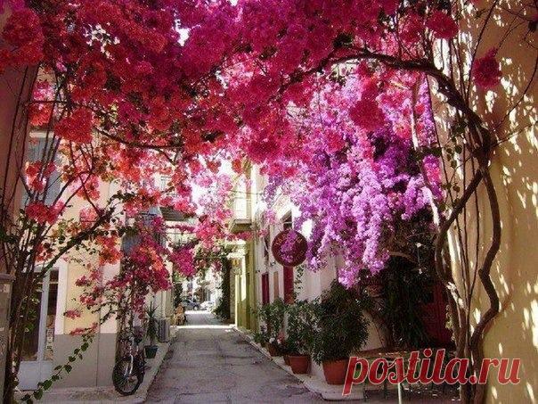 Один из самых живописных городов Греции-Нафплион