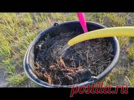 СУПЕР УДОБРЕНИЕ ОТ КОТОРОГО ВСЕ РАСТЕТ и развивается на глазах и ПОДКОРМКА О КОТОРОЙ МЕЧТАЮТ ВСЕ!