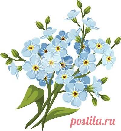 (24) Pinterest