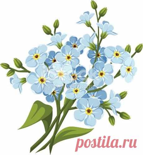 (24) Pinterest