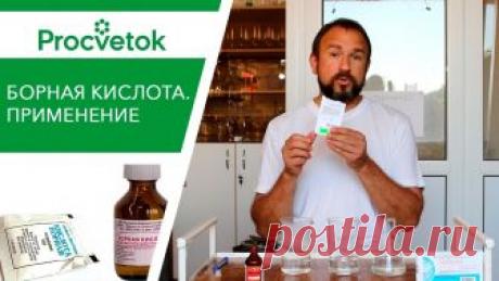 Борная кислота. Правила подкормки бором для томатов, яблони и иных растений.