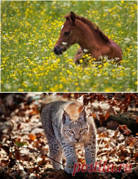 Красивые фото .