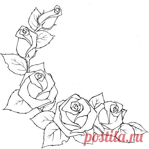 Рисуем розы.