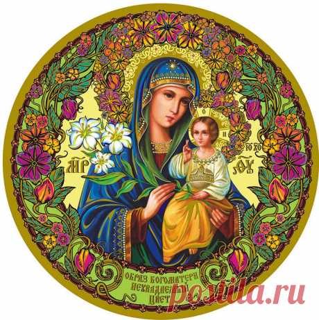 За нашу советскую Родину! - Художник Светлана Макрушина