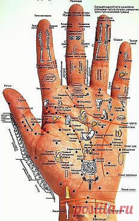 Поиск на Постиле: гадание по руке