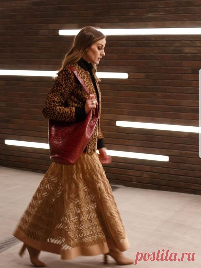 Образ Оливии Палермо | VestiNewsRF.Ru