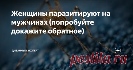Женщины паразитируют на мужчинах (попробуйте докажите обратное) Что-то в последнее время мне всякое непотребство в "дзене" на глаза попадается. Видимо, я начинаю деградировать. Сегодня вот опять прочитал о том, что, якобы, мужчины паразитируют на женщина.
И приводятся такие аргументы, что даже выпускнице ПТУ стало бы ясно, что всё это притянуто за уши. Но откуда-то берутся женщины, которые воспринимают всё всерьёз.
На самом деле всё ровно наоборот: женщины