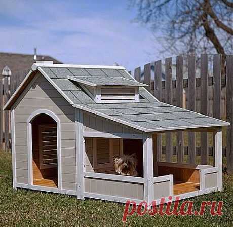 Домик для собаки. (33) Одноклассники