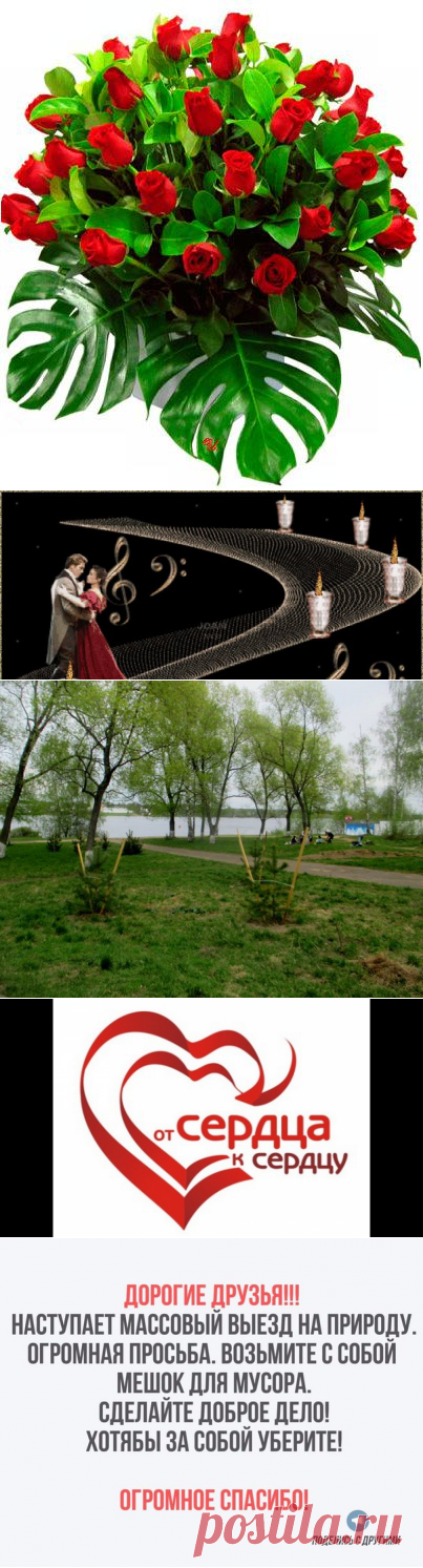 Светлана Болотова