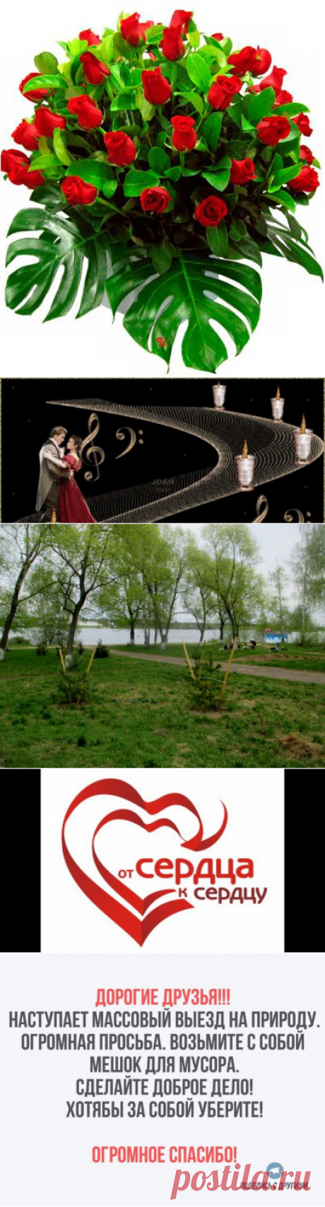 Светлана Болотова