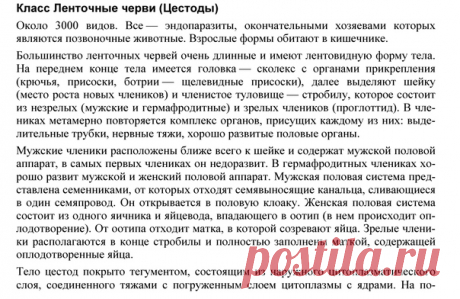 КЛАСС ЛЕНТОЧНЫЕ ЧЕРВИ