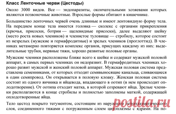 КЛАСС ЛЕНТОЧНЫЕ ЧЕРВИ