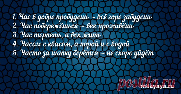 Короткая пословица для женщин в картинках (картинка 84) . Милая Я