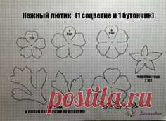 Цветы из фоамирана.Мастер-классы Елены Дегилевич