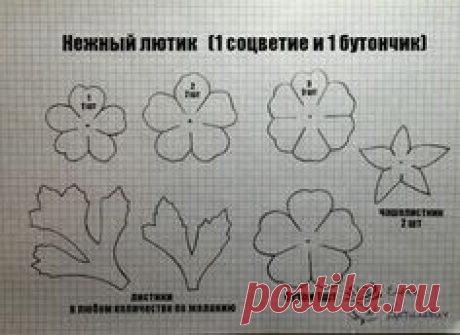 Цветы из фоамирана.Мастер-классы Елены Дегилевич