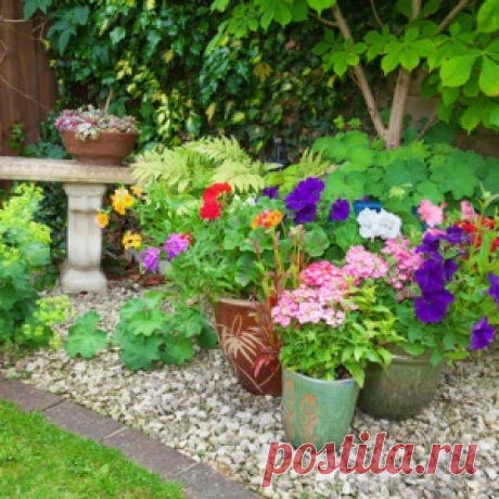 Декоративная отсыпка для сада