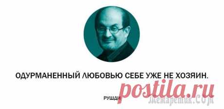 25 неоднозначных цитат от индийского мудреца Салмана Рушди