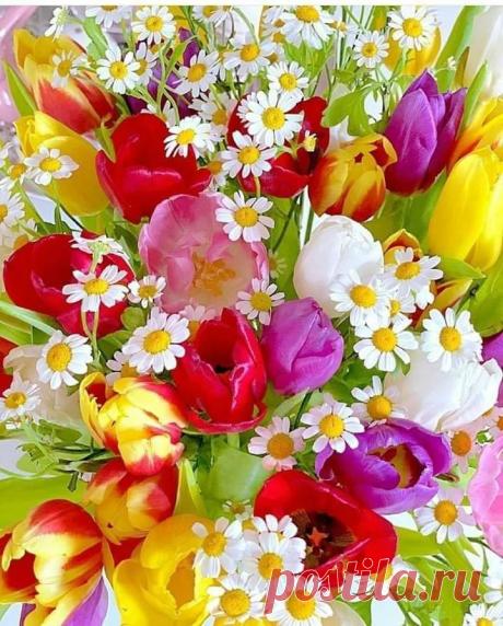 Жизнь ничего нам не должна....Она сама уже Подарок!