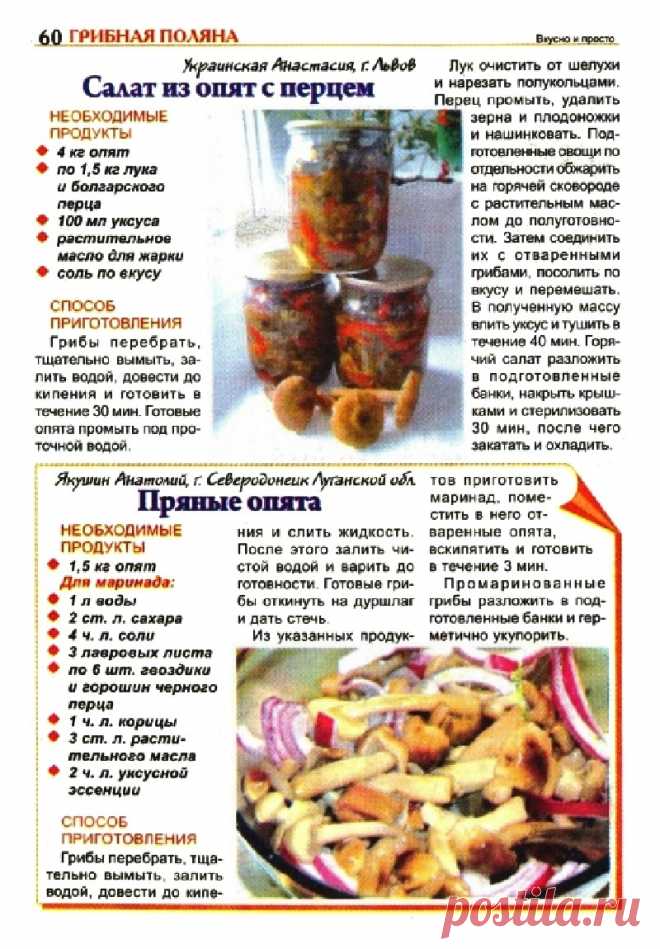 Салат из опят с перцем. Пряные опята