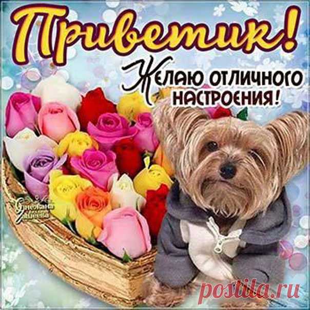 Скачать бесплатно открытку Привет  Открытка с Приветом мужчине