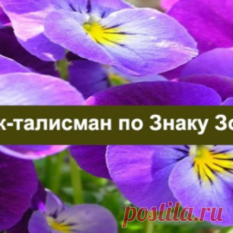 МАЛЕНЬКАЯ ХИТРОСТЬ: ЧТОБЫ ЦВЕТЫ В ДОМЕ ЦВЕЛИ ПЫШНО И ДОЛГО - МирТесен
