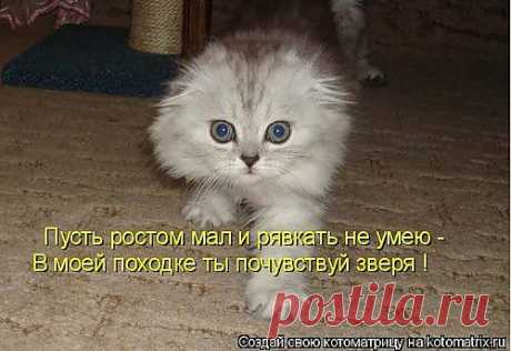 tatya-nikolska — «Найдено в интернете.» на Яндекс.Фотках