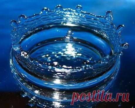 Значение воды в жизни человека | Польза воды для организма