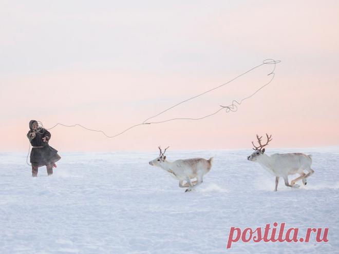 Выставка финалистов фотоконкурса «Самая красивая страна» откроется 1 августа