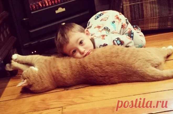 Трогательная дружба кота и ребенка