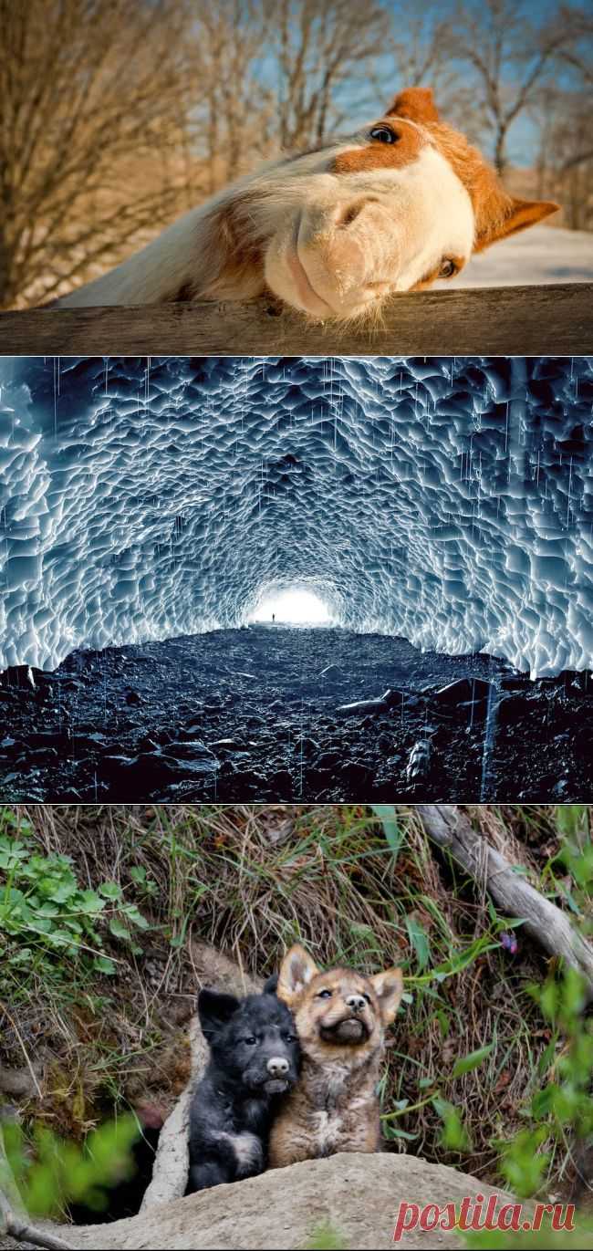 Лучшие фото National Geographik за март | ЖЕНСКИЙ  МИР