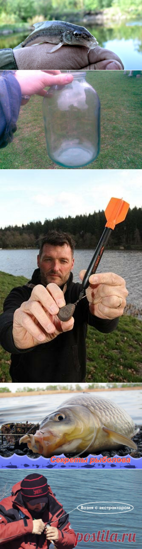 Ловля пескаря на банку. Очень простой способ ловли. | Блоги о даче и огороде, рецептах, красоте и правильном питании, рыбалке, ремонте и интерьере