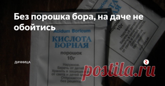 Без порошка бора, на даче не обойтись Одним из главных удобрений на огороде является борная кислота. Она насыщает корни кислородом, способствует обменным процессам и увеличивает количество хлорофилла. В статье разберем, как и где можно применять ее на даче:
- Клубника. Опрыскиваете растения во время раскрытия бутонов и в период плодоношения: на 10 л. воды добавьте 5 гр. порошка.
- Томаты. Опрыскиваем перед раскрытием бутонов: на 10 л.