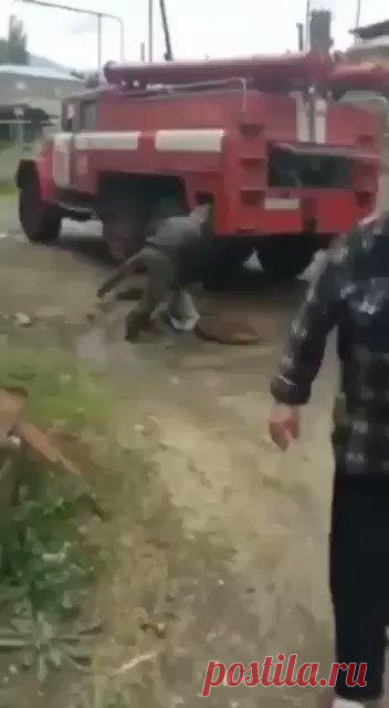 Бывает