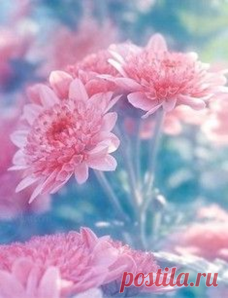 20 фотографий, которые расскажут о мире больше, чем тысячи слов / Surfingbird - проводи время с пользой для себя!