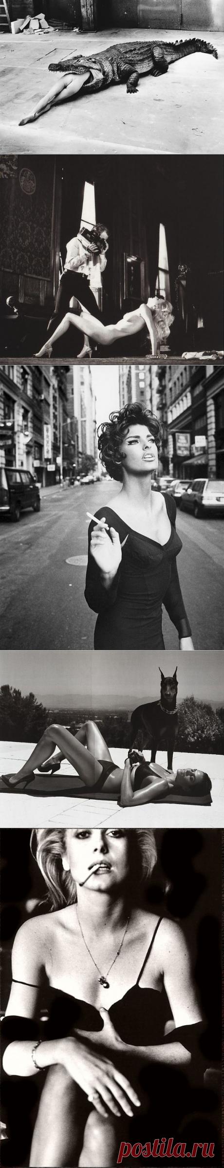 Гений фотографии Хельмут Ньютон - Фотография