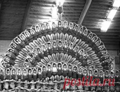 Assembly of honey - Morning exercises