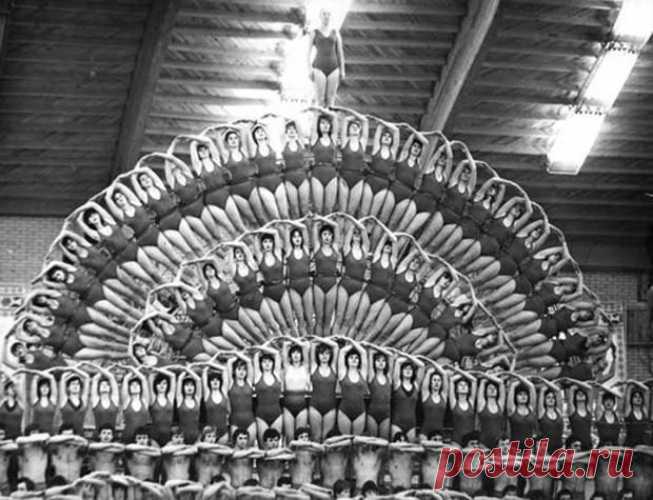 Assembly of honey - Morning exercises