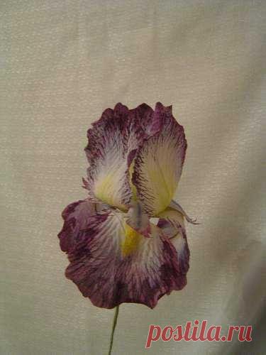 ЦВЕТЫ ИЗ ТКАНИ (ИРИС)