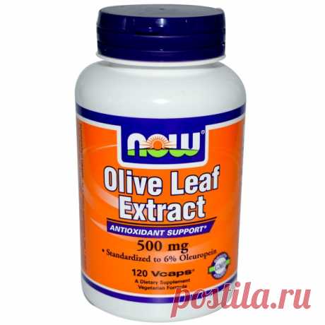 Now Foods, Экстракт оливкового листа, 500 мг, 120 растительных капсул - iHerb.com