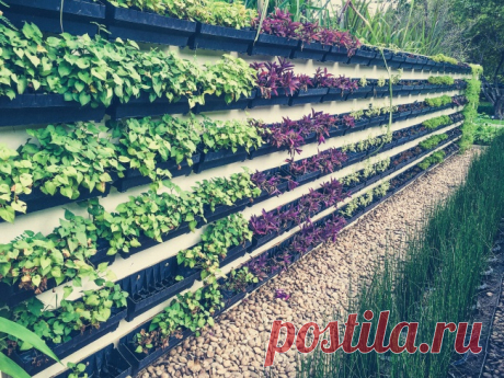 11 оригинальных идей для дачи, о которых мечтает любой садовод