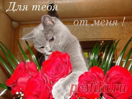 Я тебе желаю много счастливых мгновений!