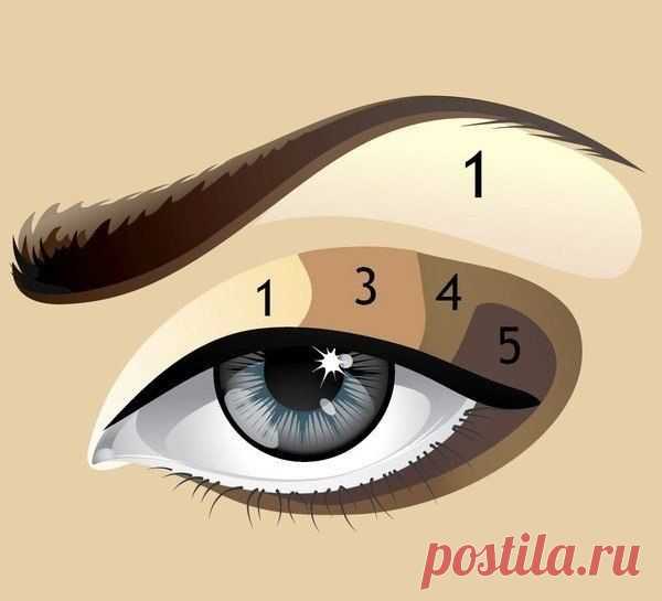 Вертикальная схема нанесения теней: