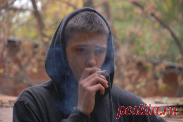 Родион Погребов