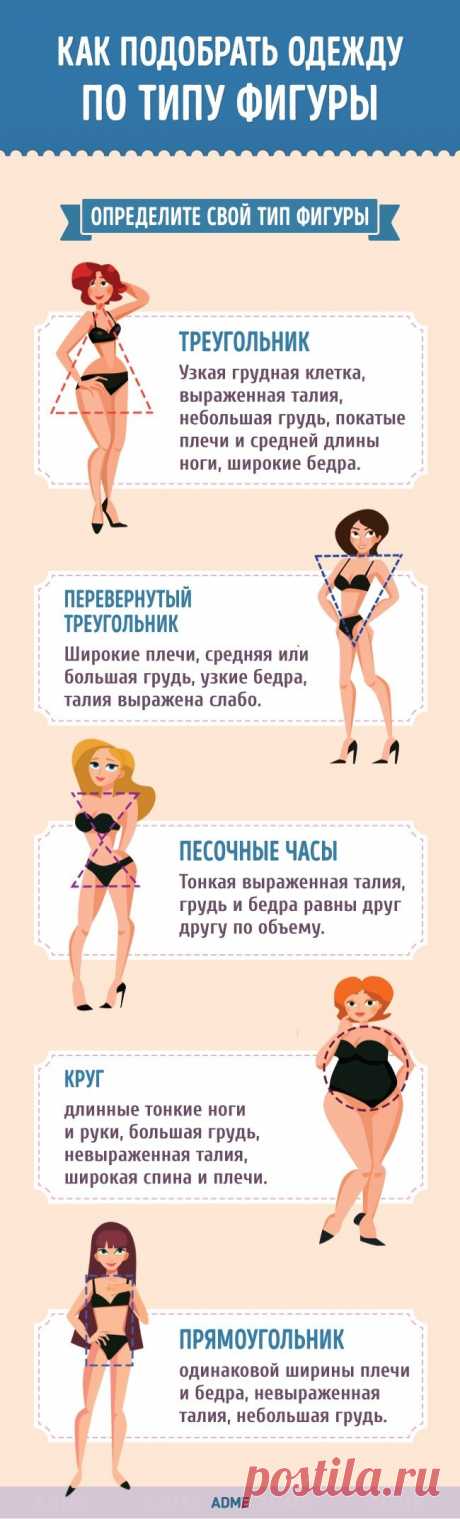 Как подобрать одежду по типу фигуры / Все для женщины