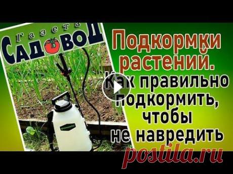 Подкормки растений. Как правильно подкормить, чтобы не навредить Зачем нужны подкормки. Какими способами производят подкормки растений. Что такое корневые и внекорневые подкормки. Почему нельзя внести сразу все удоб...