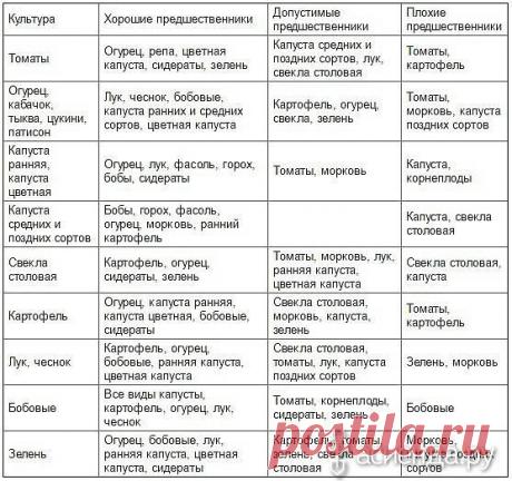 Тайны севооборота: Группа Наши грядки