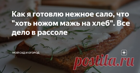 Как я готовлю нежное сало, что &quot;хоть ножом мажь на хлеб&quot;. Все дело в рассоле Помню, как проводила детские годы у бабушки в деревне – чуть свет, сразу домашнее хозяйство, огород, а потом речка и долгожданный обед, поистине деревенский. У нас недалеко от дома была пекарня и каждый раз перед едой я бегала туда за хлебом, а, так как горячий ароматный «кирпичик» было трудно донести до стола нетронутым, половина булки по дороге домой просто съедалась.
Та часть хлеба, которую