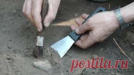Ученые нашли под Самарой череп ветлугозавра Геологи обнаружили во время раскопок в Самарской области череп древней религии ветлугазавра. Специалисты Российской академии наук заявили, что это самый полный череп представителя этого вида из найденных на сегодняшний день.Геологи Самарского государственного университета нашли кусок породы с черепом рептилии во время мониторинга флоры триасовых и юрских отложений, сообщает «Интерфакс».