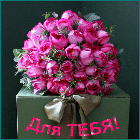 0_cfbf3_dbf0fea8_XL.gif (676×676)