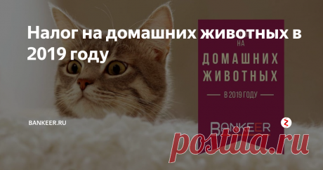 Налог на домашних животных в 2019 году До будущего года должна быть образована Единая российская структура регистрации домашних животных (ЕСИ). В которой станут проходить регистрацию домашние сельскохозяйственные животные и иной скот, домашние зайцы, коровы, козлы, верблюды, пушные животные, олени, кони, свиньи и ослы. Любому отдельно взятому животному будет присвоено «индивидуальное» порядковое число из пятнадцати символов или QR-шифр